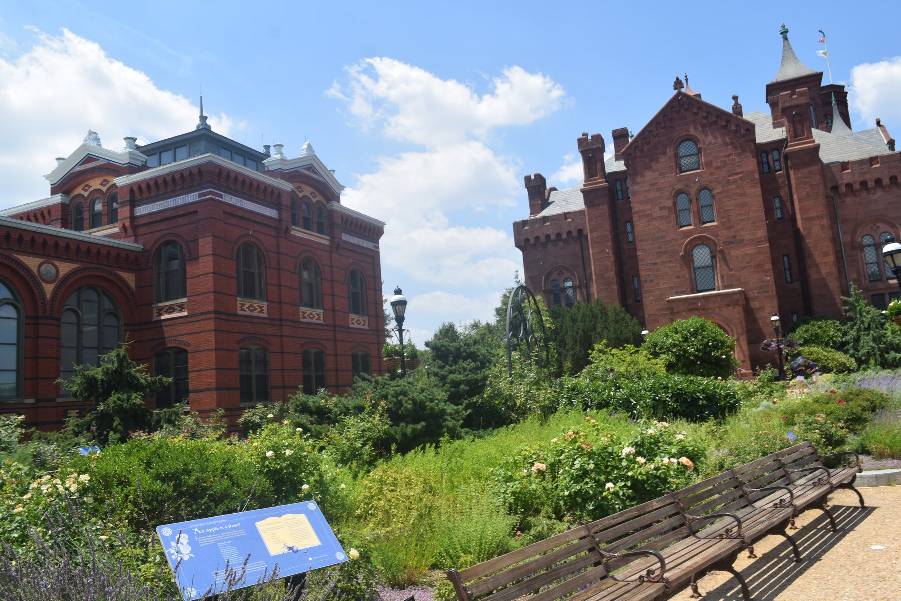 Smithsonian garden with red buildings and summer greenery