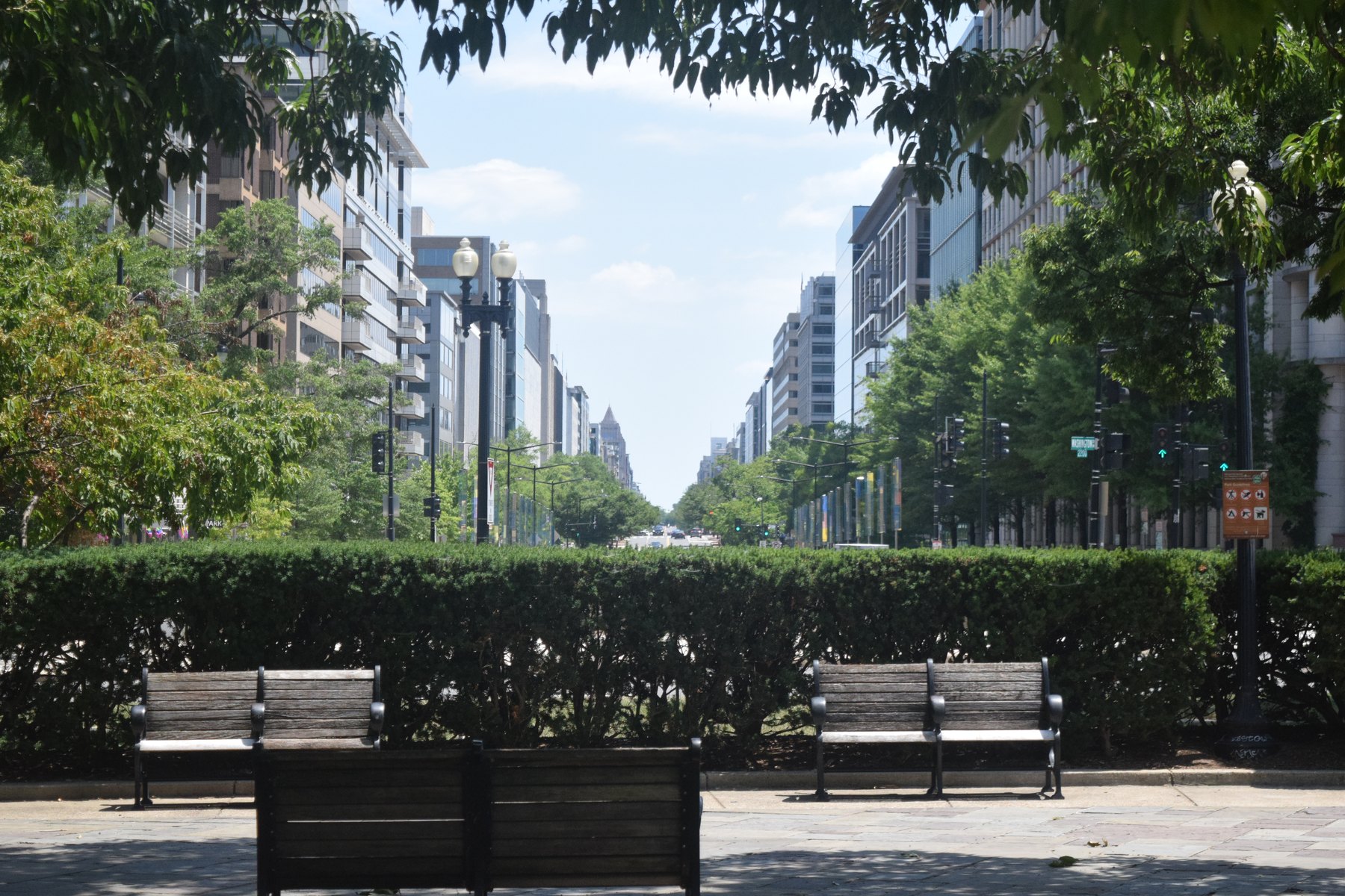 Washington DC avenue seen through trees and benches